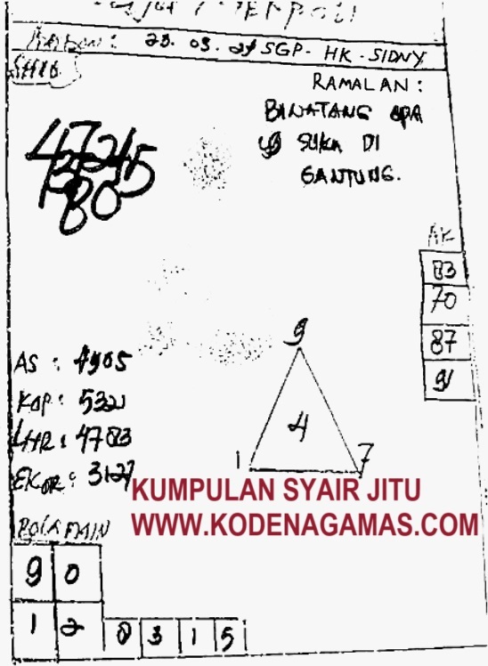 SYAIR SGP VIP